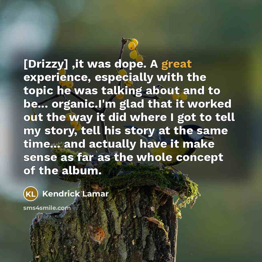 “[Drizzy] ,it was dope. A great experience, especially with the…” quote by Kendrick Lamar