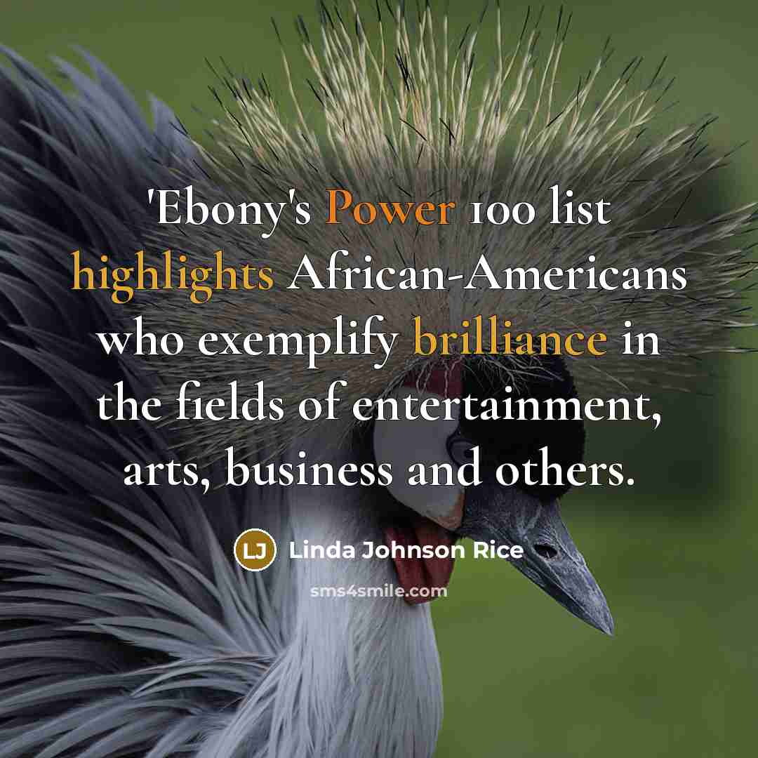 “'Ebony's Power 100 list highlights African-Americans who exemplify brilliance in the fields of entertainment, arts, business and others.” quote by Linda Johnson Rice