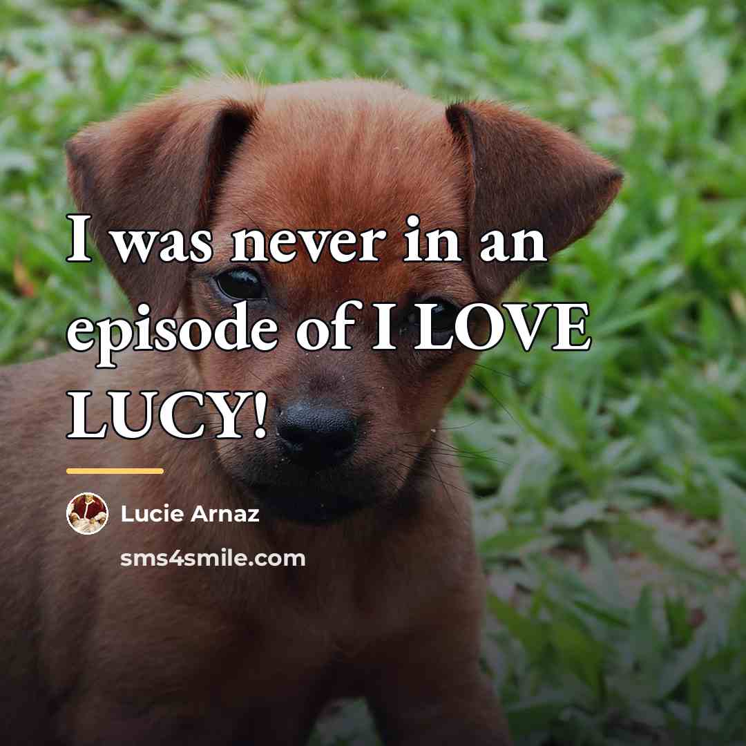 “I was never in an episode of I LOVE LUCY!…” quote by Lucie Arnaz