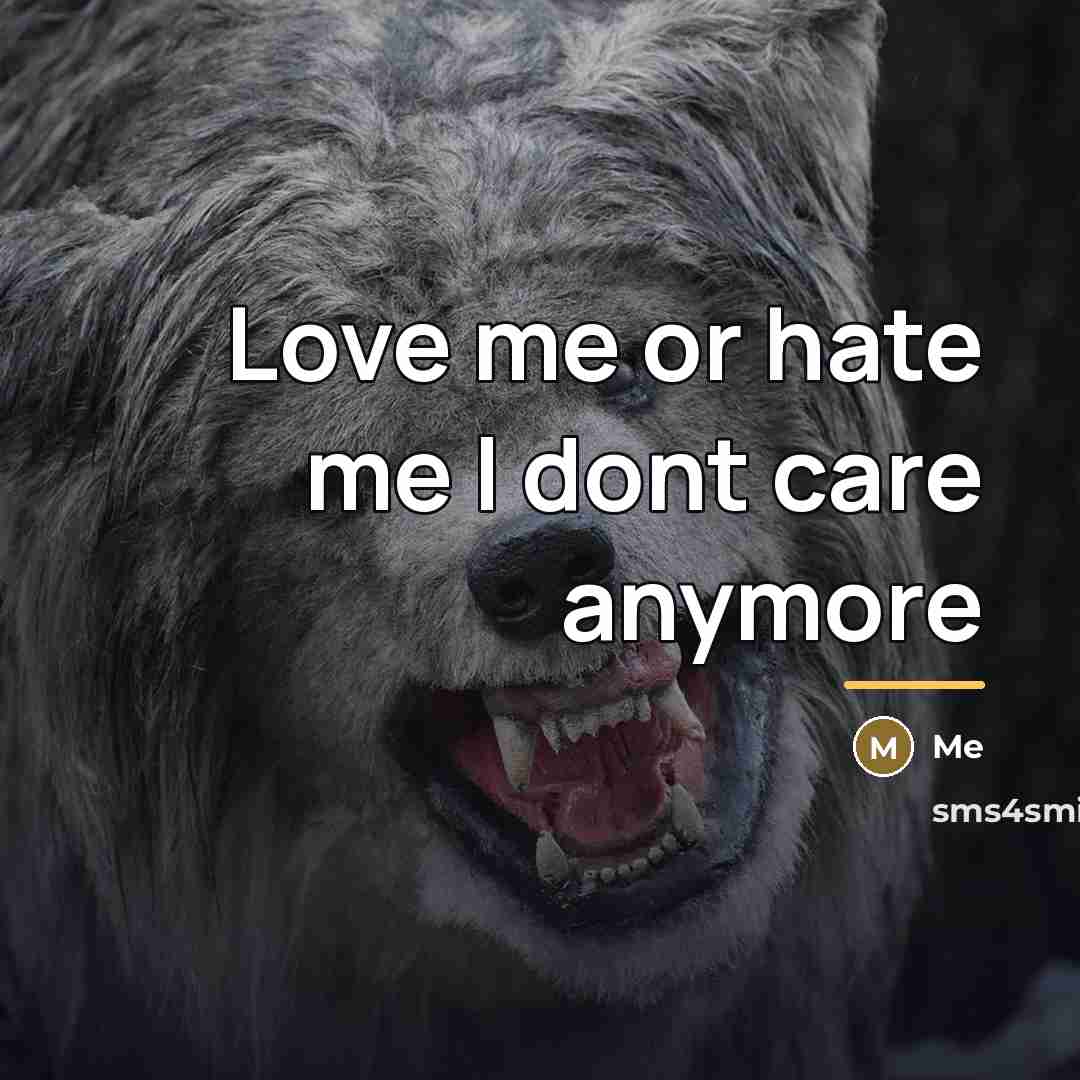 “Love me or hate me I dont care anymore…” quote by Me