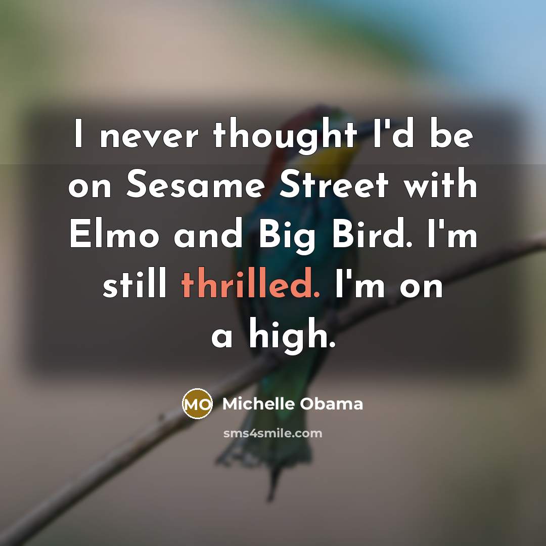 “I never thought I'd be on Sesame Street with Elmo…” quote by Michelle Obama