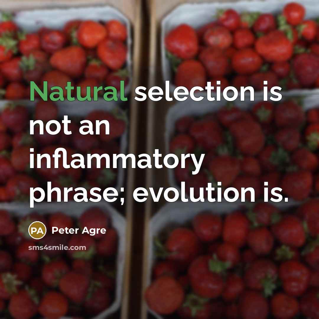 “Natural selection is not an inflammatory phrase; evolution is.…” quote by Peter Agre