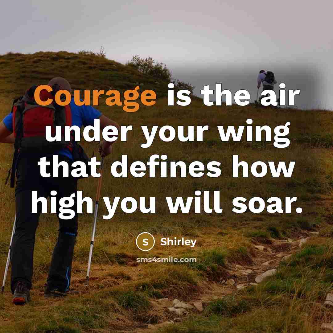 “Courage is the air under your wing that defines how…” quote by Shirley