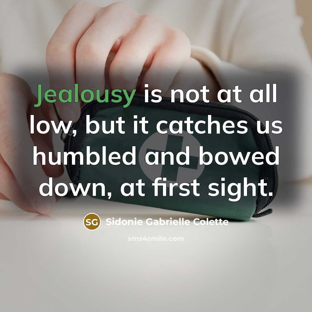 “Jealousy is not at all low, but it catches us…” quote by Sidonie Gabrielle Colette
