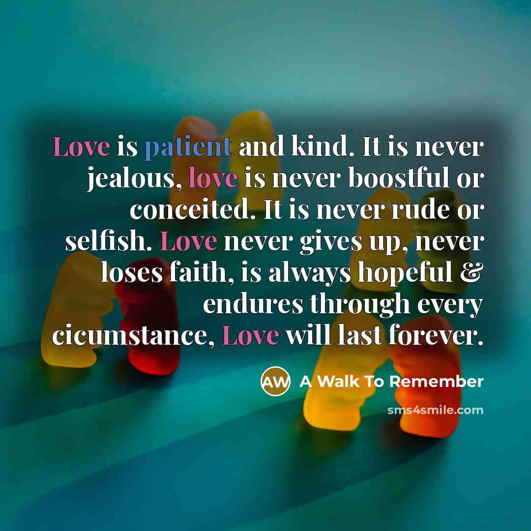 “Love is patient and kind. It is never jealous, love…” quote by A Walk To Remember