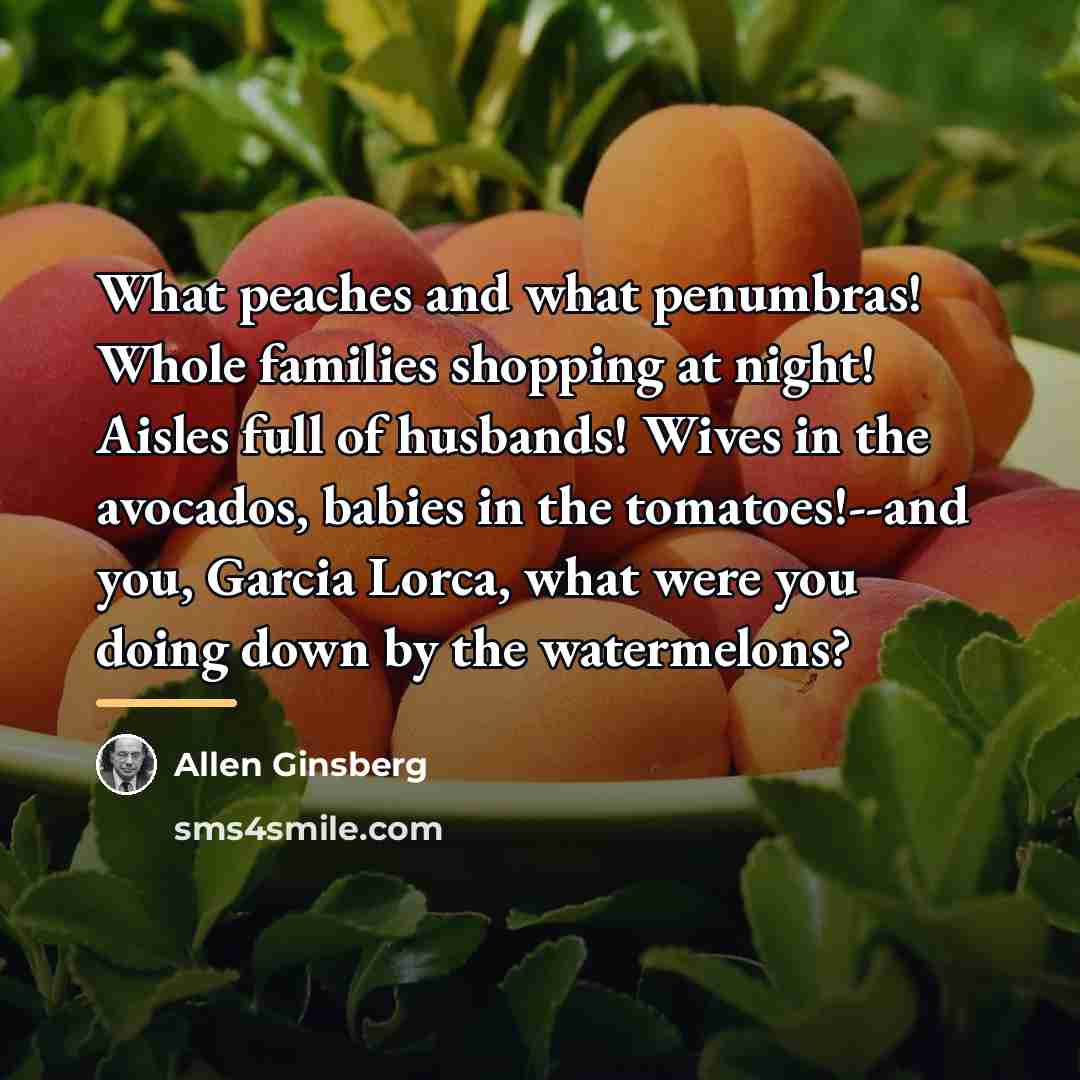 “What peaches and what penumbras! Whole families shopping at night!…” quote by Allen Ginsberg