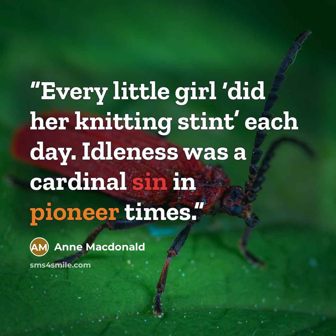 “Every little girl ‘did her knitting stint’ each day. Idleness was a cardinal sin in pioneer times.” quote by Anne Macdonald