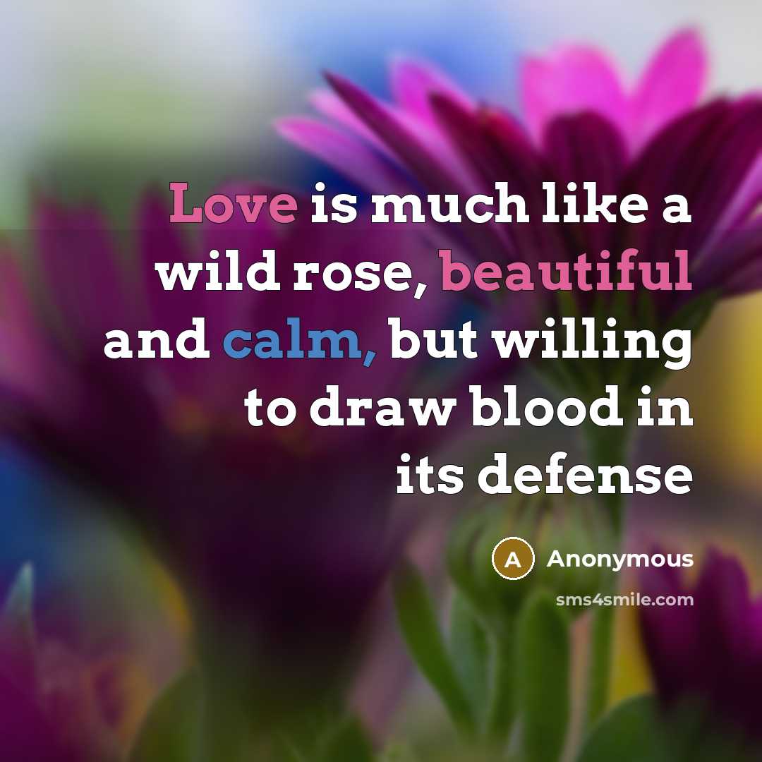 “Love is much like a wild rose, beautiful and calm, but willing to draw blood in its defense” quote by Anonymous