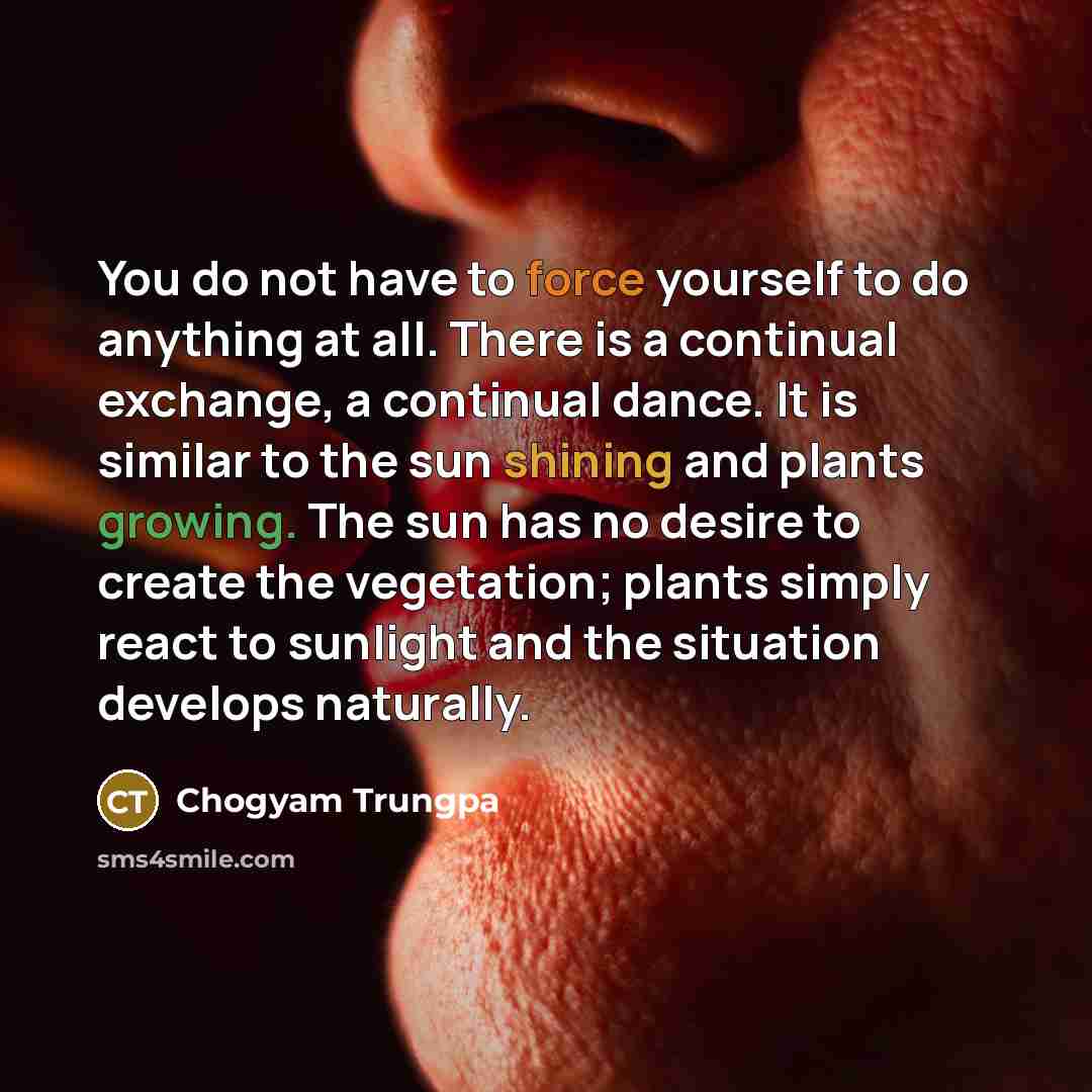 “You do not have to force yourself to do anything…” quote by Chogyam Trungpa