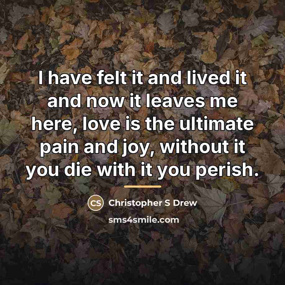 “I have felt it and lived it and now it…” quote by Christopher S Drew