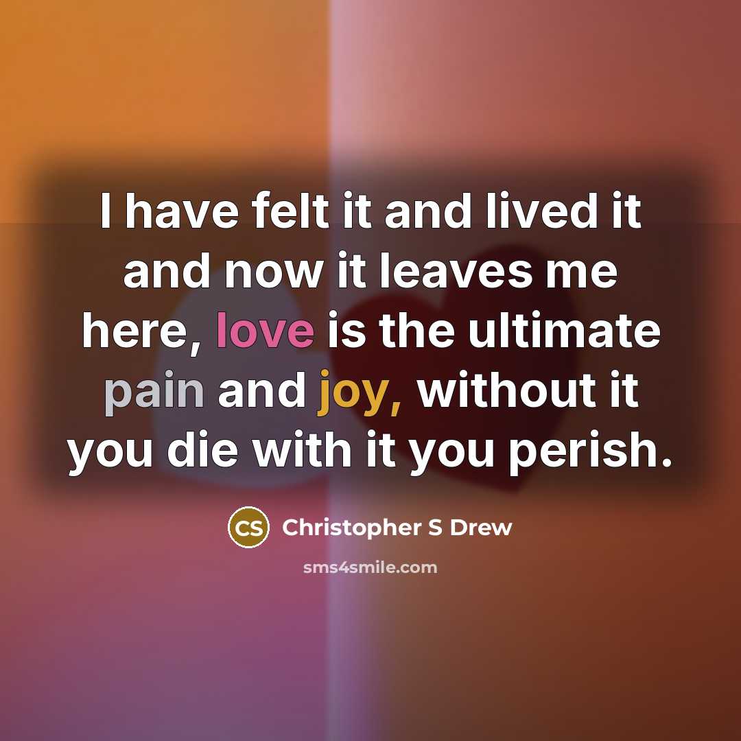 “I have felt it and lived it and now it leaves me here, love is the ultimate pain and joy, without it you die with it you perish.” quote by Christopher S Drew
