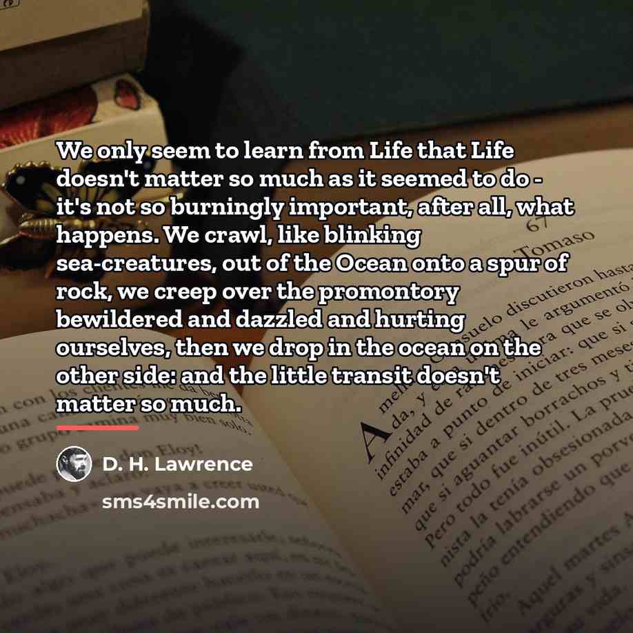 “We only seem to learn from Life that Life doesn't…” quote by D. H. Lawrence