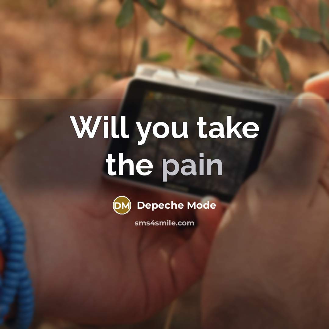 “Will you take the pain…” quote by Depeche Mode