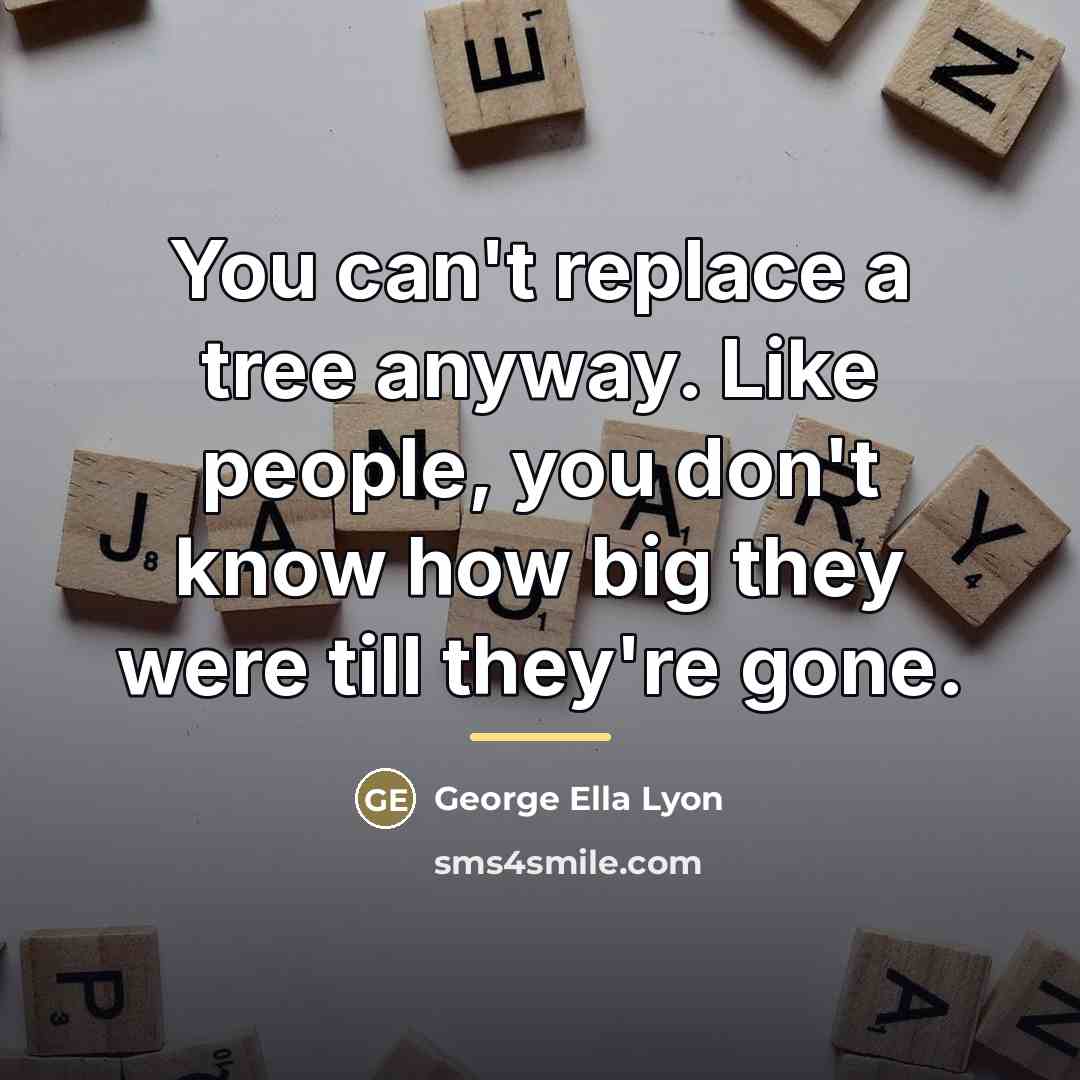 “You can't replace a tree anyway. Like people, you don't…” quote by George Ella Lyon