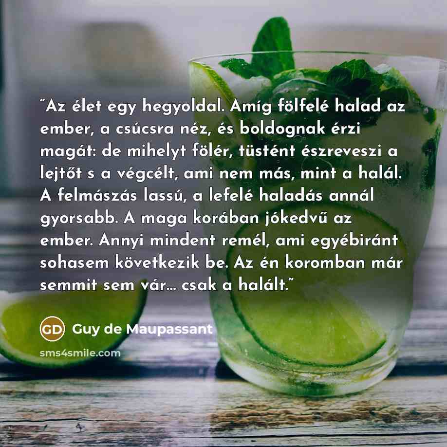 “Az élet egy hegyoldal. Amíg fölfelé halad az ember, a csúcsra néz, és boldognak érzi magát: de mihelyt fölér, tüstént észreveszi a lejtőt s a végcélt, ami nem más, mint a halál. A felmászás lassú, a lefelé haladás annál gyorsabb. A maga korában jókedvű az ember. Annyi mindent remél, ami egyébiránt…” quote by Guy de Maupassant