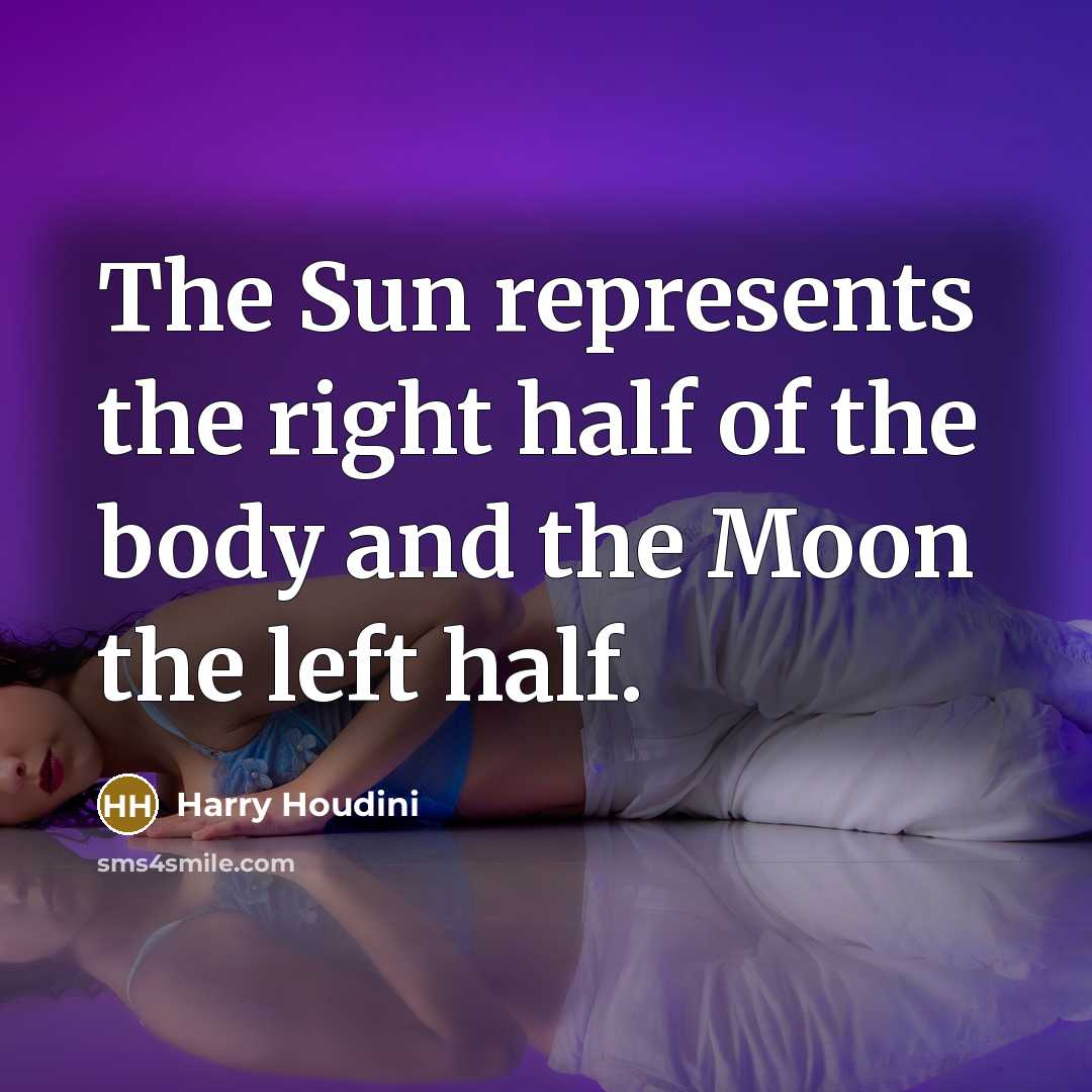 “The Sun represents the right half of the body and…” quote by Harry Houdini