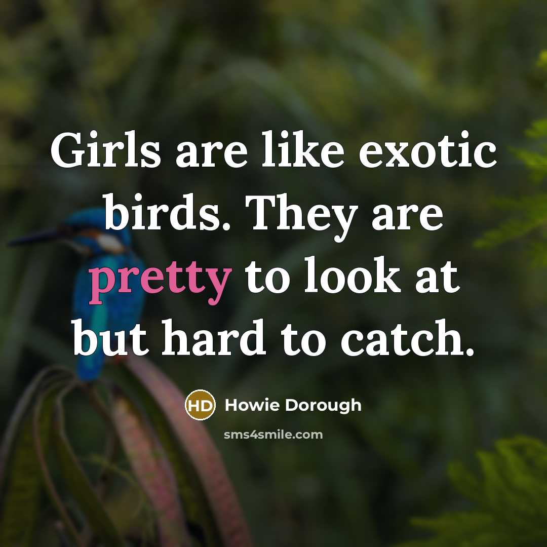 “Girls are like exotic birds. They are pretty to look…” quote by Howie Dorough