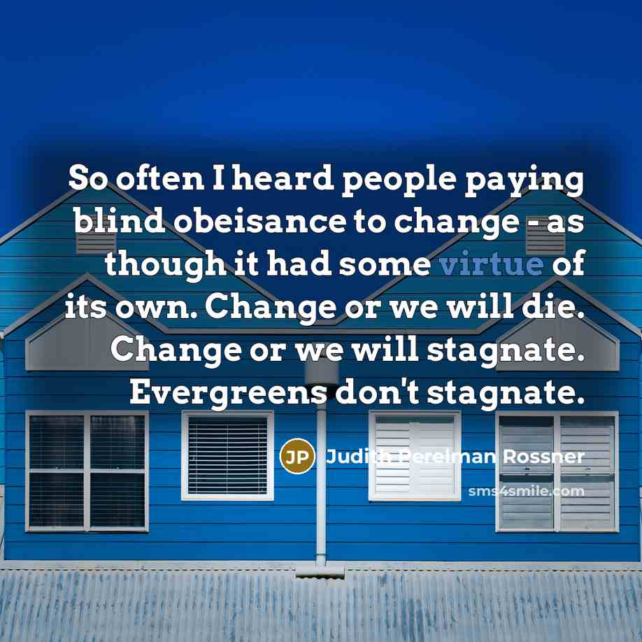 “So often I heard people paying blind obeisance to change…” quote by Judith Perelman Rossner