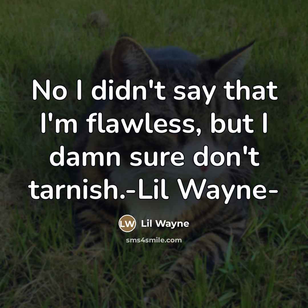 “No I didn't say that I'm flawless, but I damn…” quote by Lil Wayne