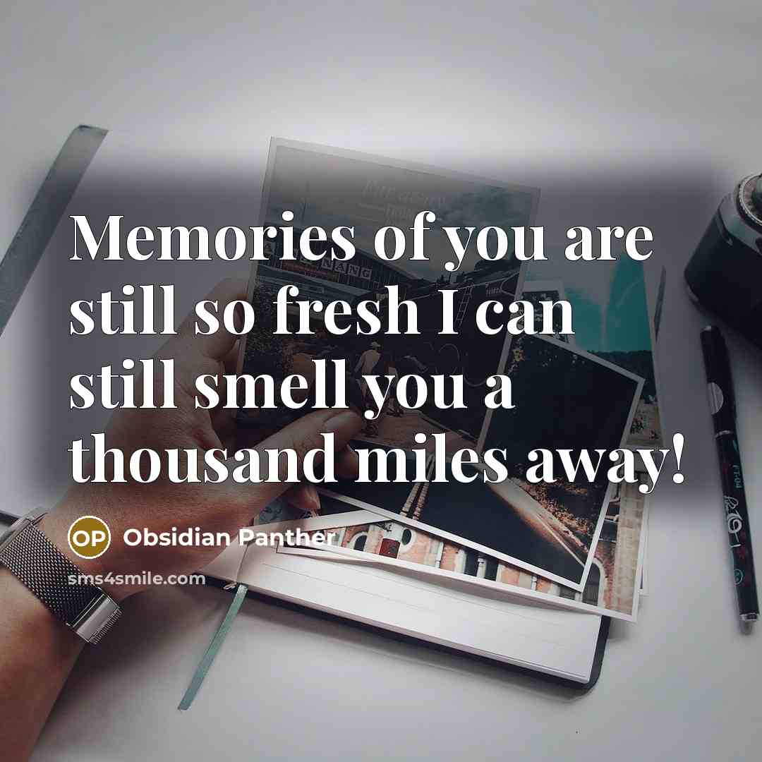 “Memories of you are still so fresh I can still…” quote by Obsidian Panther
