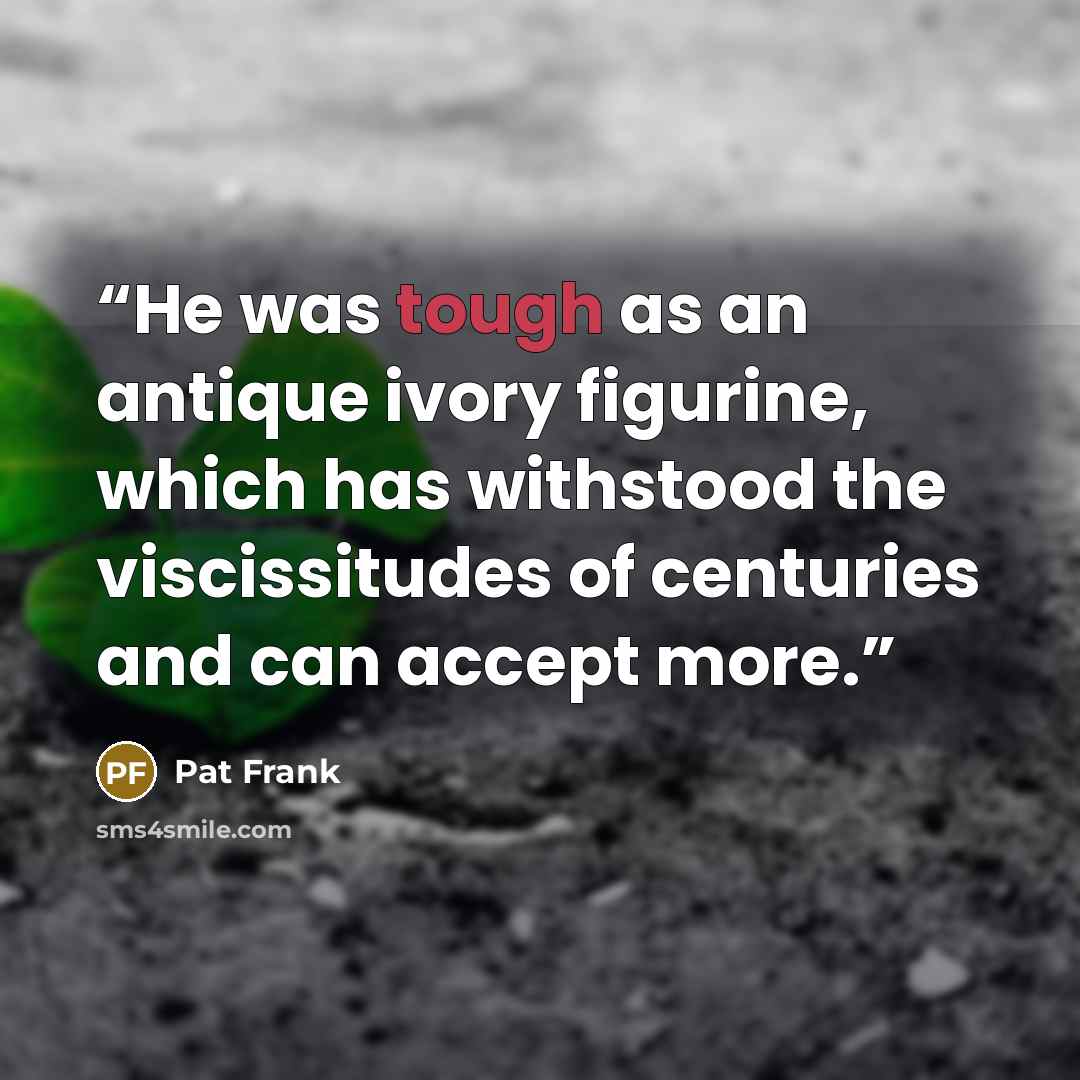 “He was tough as an antique ivory figurine, which has withstood the viscissitudes of centuries and can accept more.” quote by Pat Frank