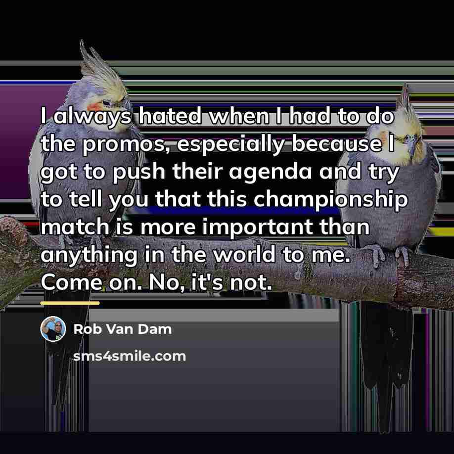 “I always hated when I had to do the promos,…” quote by Rob Van Dam
