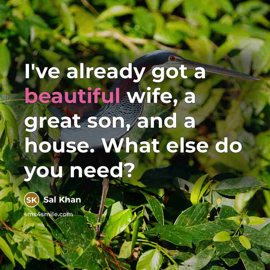“I've already got a beautiful wife, a great son, and…” quote by Sal Khan