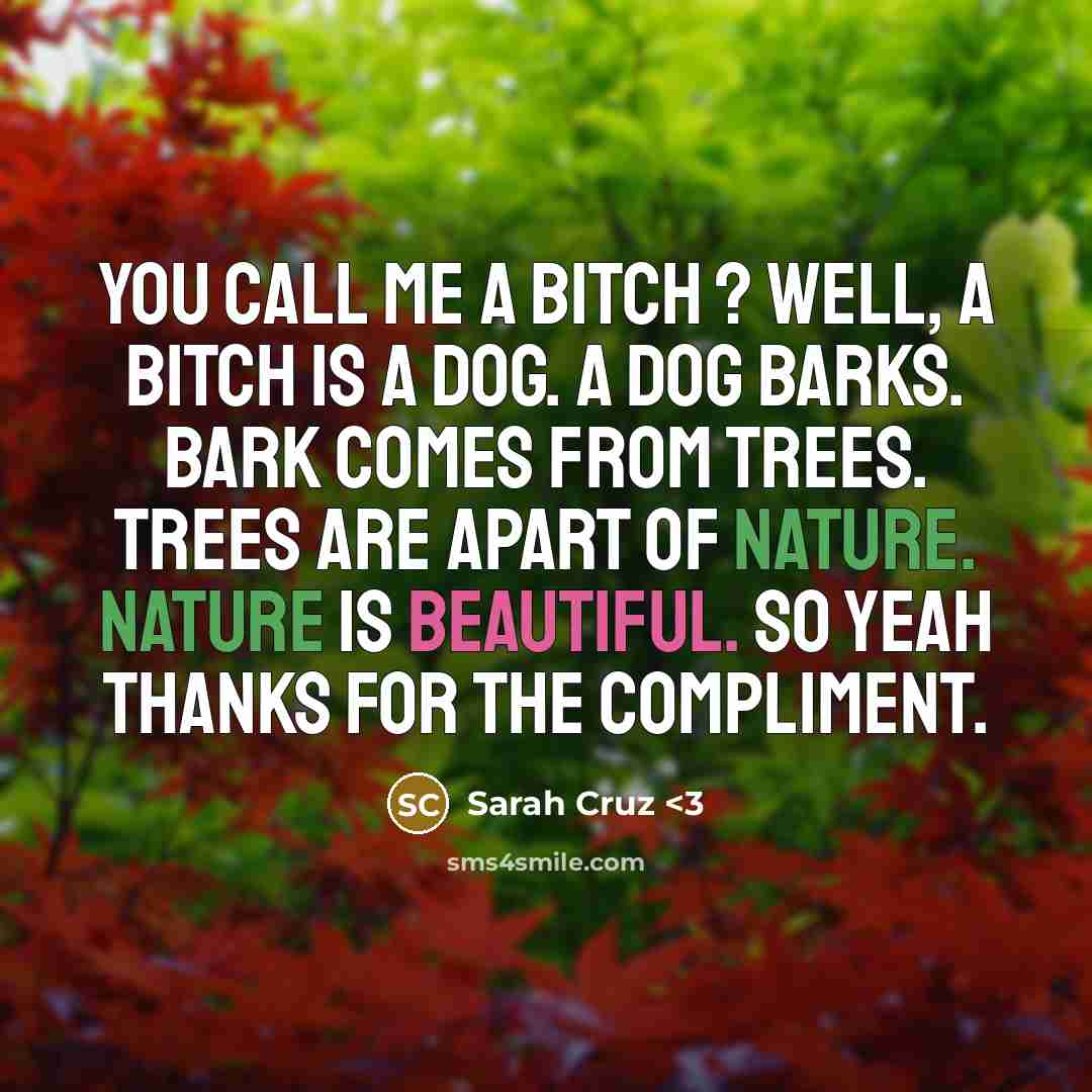 “You Call Me A Bitch ? Well, A Bitch Is A Dog. A Dog Barks. Bark Comes From Trees. Trees Are Apart Of Nature. Nature Is Beautiful. So Yeah Thanks For The Compliment.” quote by Sarah Cruz