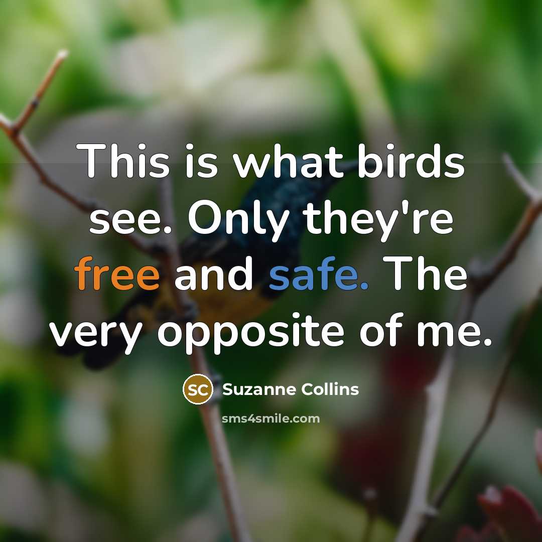 “This is what birds see. Only they're free and safe.…” quote by Suzanne Collins
