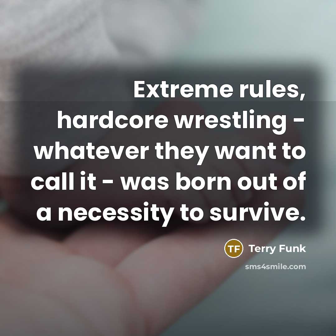 “Extreme rules, hardcore wrestling - whatever they want to call…” quote by Terry Funk