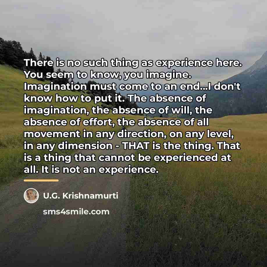“There is no such thing as experience here. You seem…” quote by U.G. Krishnamurti