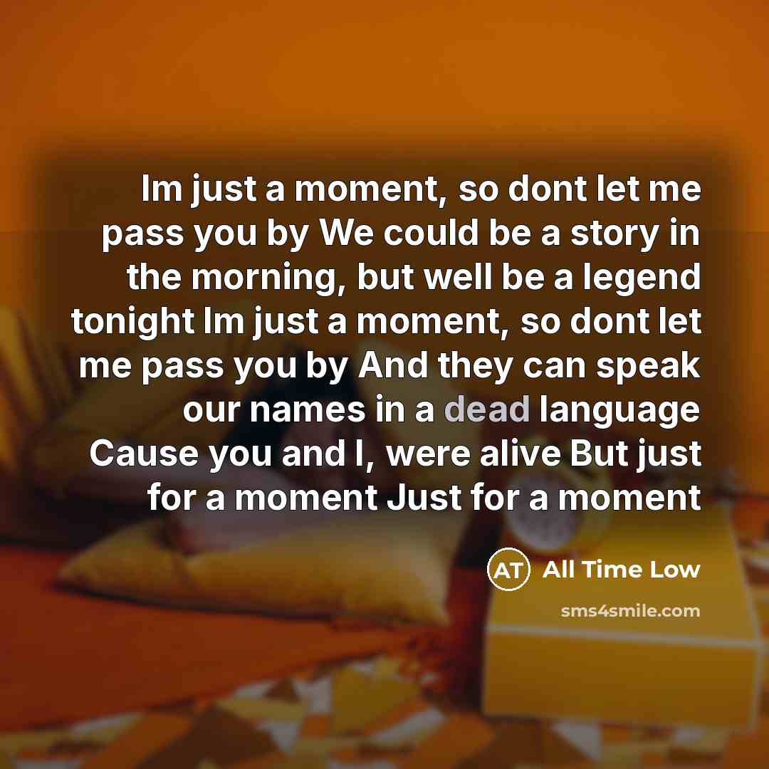 “Im just a moment, so dont let me pass you…” quote by All Time Low