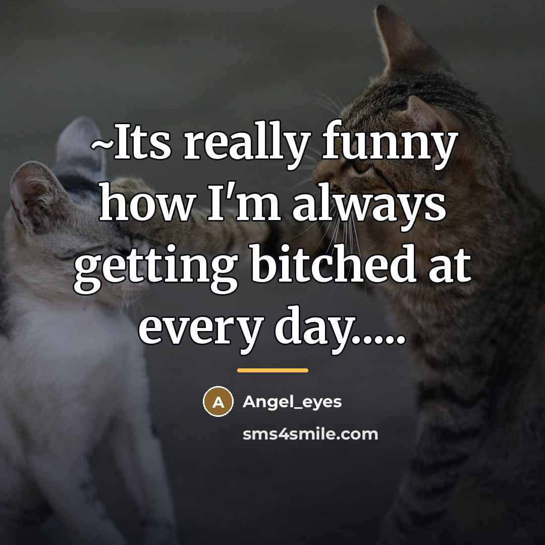 “~Its really funny how I'm always getting bitched at every…” quote by Angel_eyes