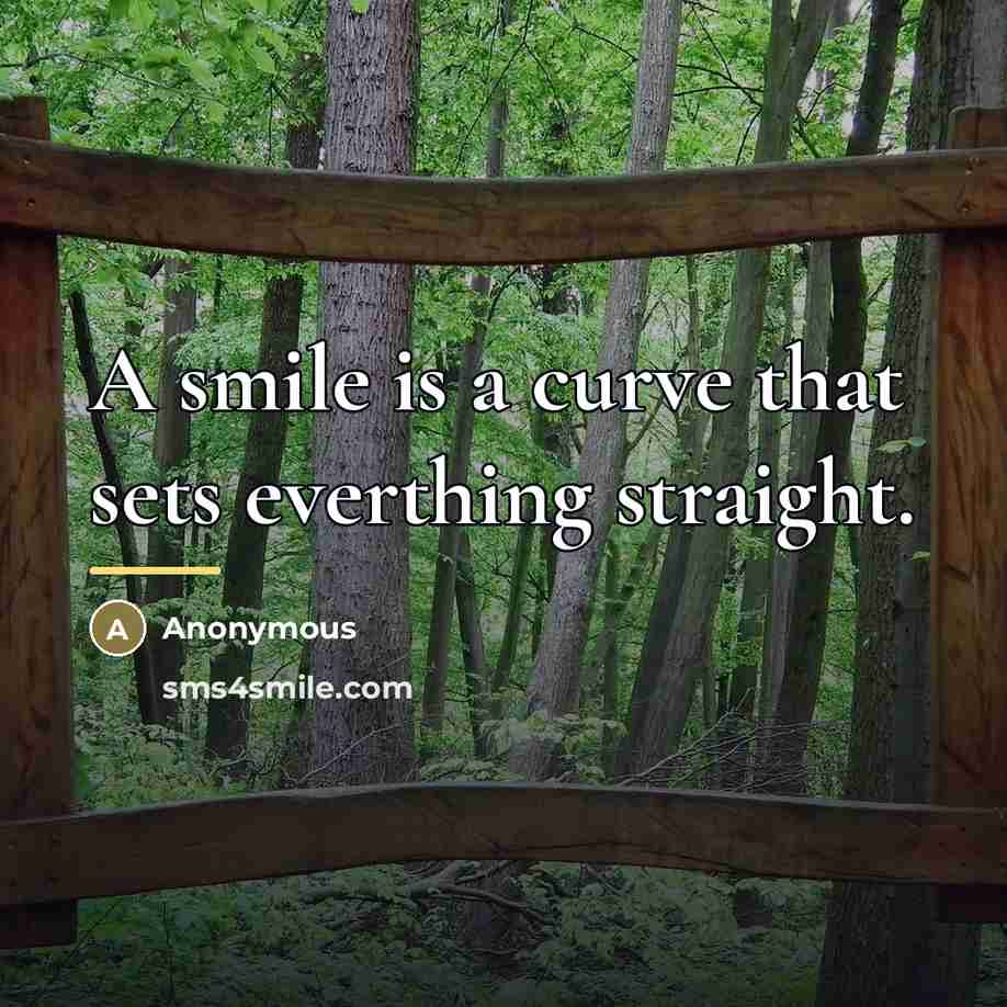 “A smile is a curve that sets everthing straight.…” quote by Anonymous
