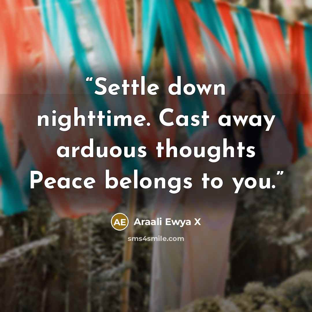 “Settle down nighttime. Cast away arduous thoughts Peace belongs to you.” quote by Araali Ewya X