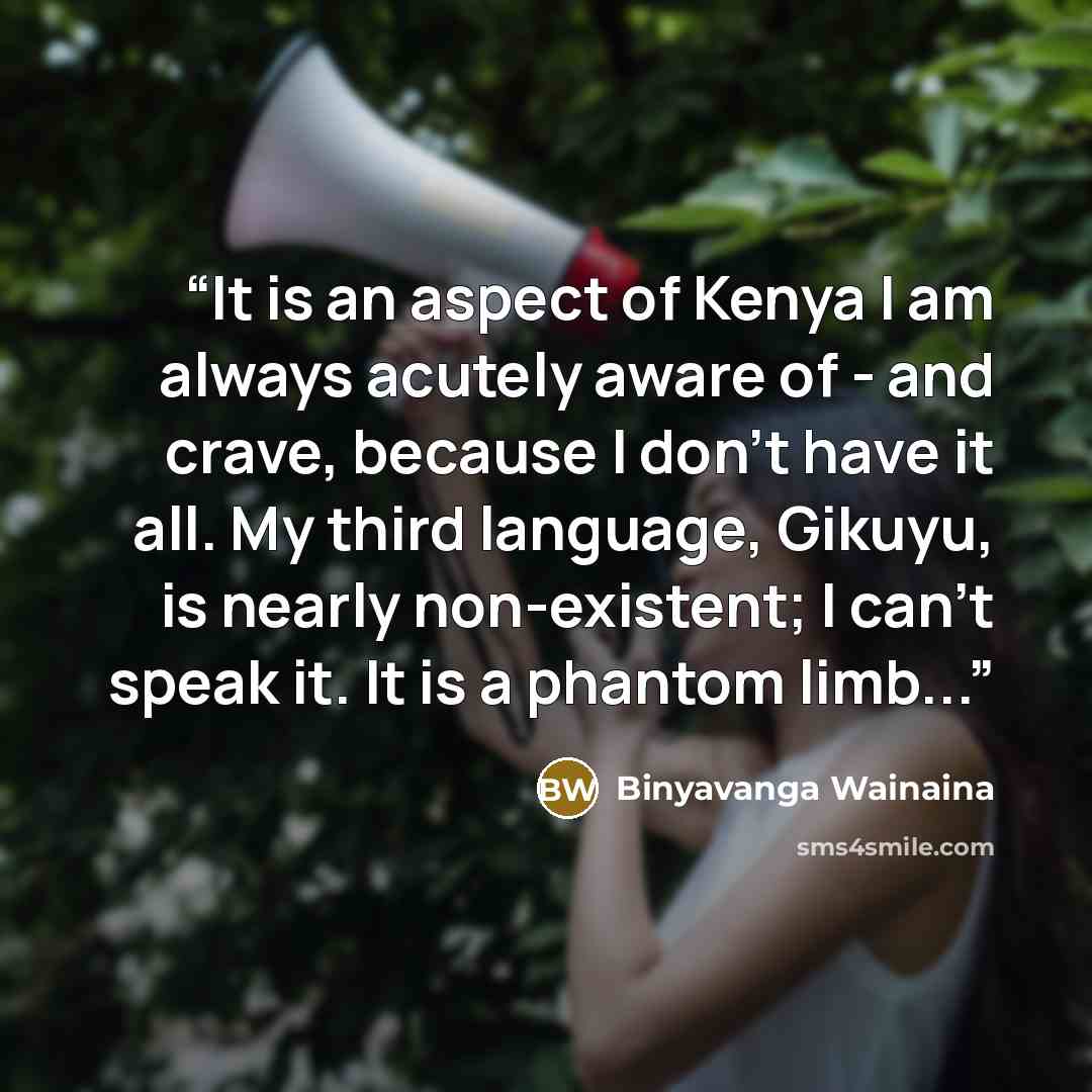 “It is an aspect of Kenya I am always acutely aware of - and crave, because I don't have it all. My third language, Gikuyu, is nearly non-existent; I can't speak it. It is a phantom limb...” quote by Binyavanga Wainaina