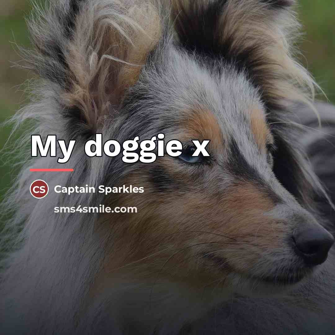 “My doggie x…” quote by Captain Sparkles