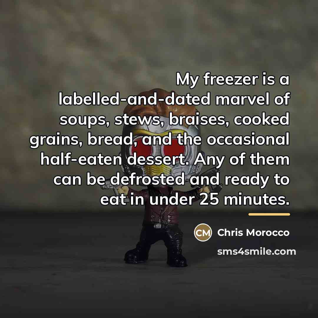 “My freezer is a labelled-and-dated marvel of soups, stews, braises,…” quote by Chris Morocco