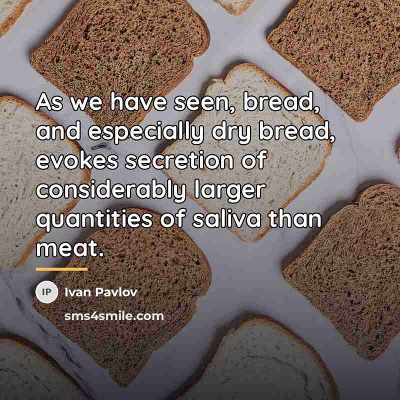 “As we have seen, bread, and especially dry bread, evokes…” quote by Ivan Pavlov