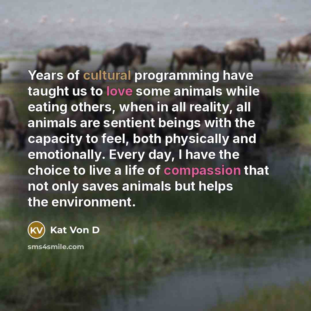 “Years of cultural programming have taught us to love some animals while eating others, when in all reality, all animals are sentient beings with the capacity to feel, both physically and emotionally. Every day, I have the choice to live a life of compassion that not only saves animals but helps…” quote by Kat Von D