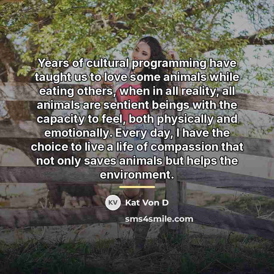 “Years of cultural programming have taught us to love some…” quote by Kat Von D