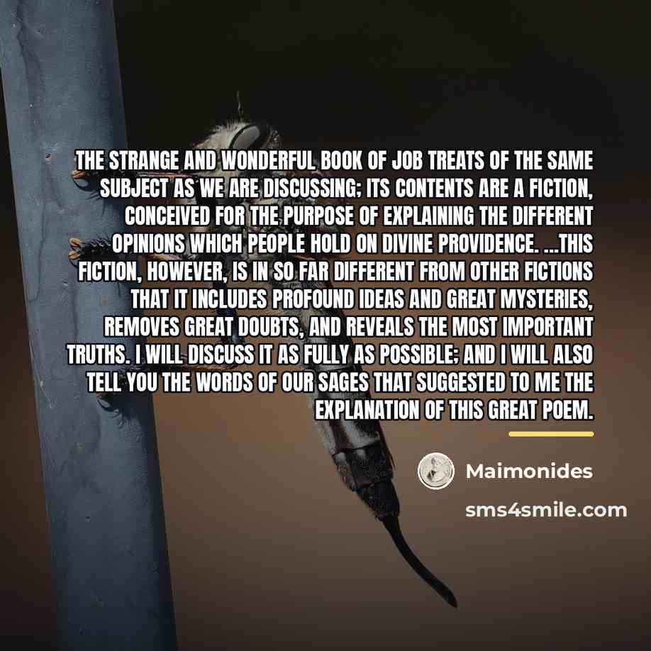 “The strange and wonderful Book of Job treats of the…” quote by Maimonides