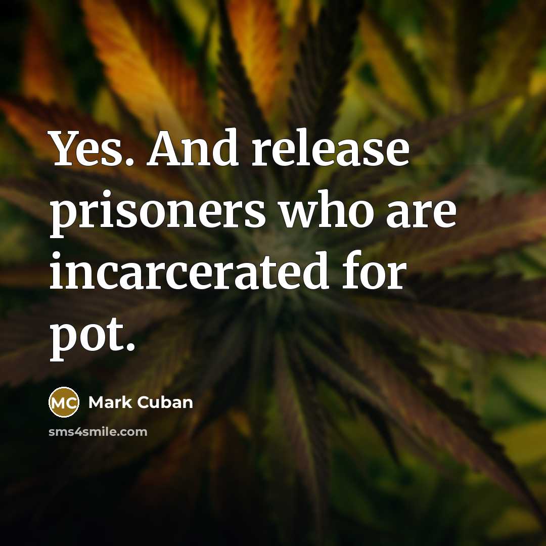 “Yes. And release prisoners who are incarcerated for pot.…” quote by Mark Cuban