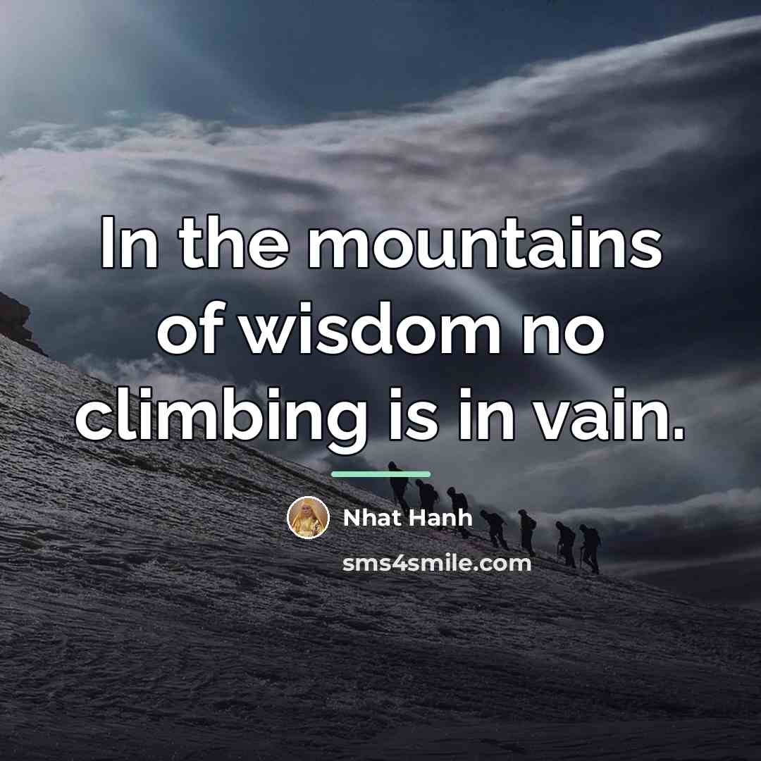 “In the mountains of wisdom no climbing is in vain.…” quote by Nhat Hanh