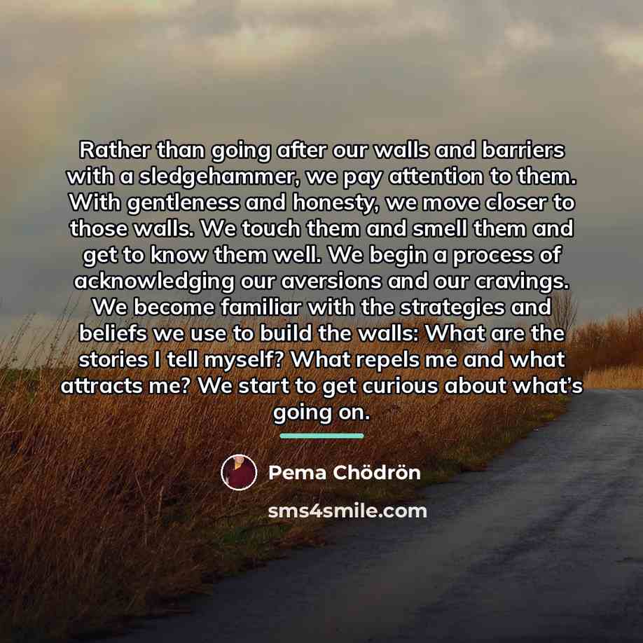 “Rather than going after our walls and barriers with a…” quote by Pema Chodron