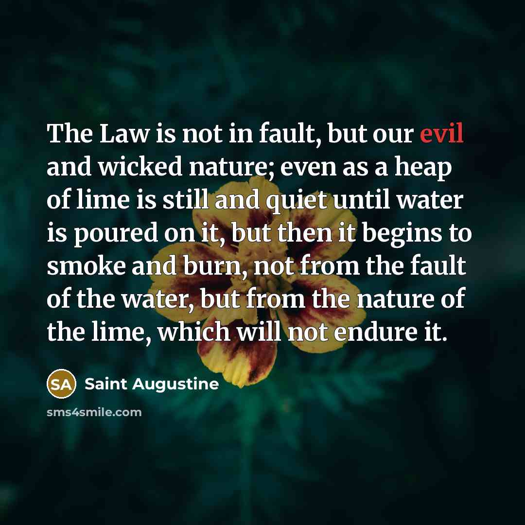 “The Law is not in fault, but our evil and…” quote by Saint Augustine