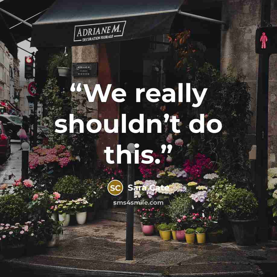 “We really shouldn’t do this.” quote by Sara Cate