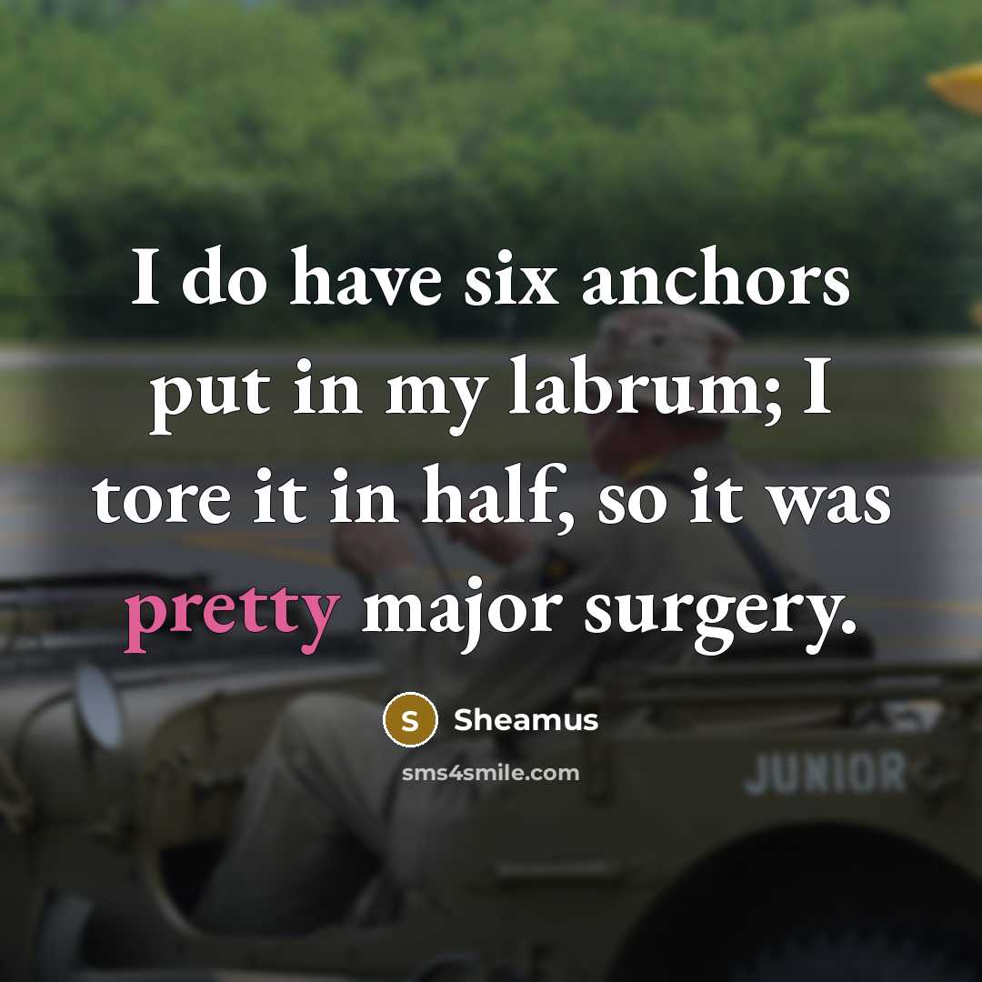 “I do have six anchors put in my labrum; I…” quote by Sheamus