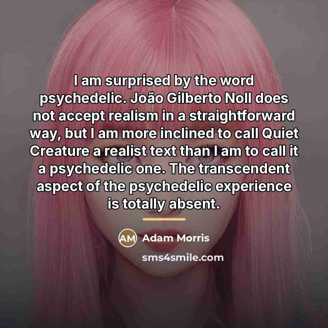 “I am surprised by the word psychedelic. João Gilberto Noll…” quote by Adam Morris