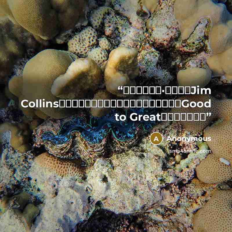 “管理专家吉姆·柯林斯（Jim Collins）来介绍他即将出版的《从优秀到卓越》（Good to Great）一书中的成果” quote by Anonymous